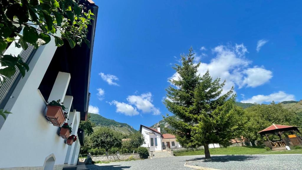 un árbol al lado de un edificio al lado de una casa en Casa Izvoarele, en Izvoarele