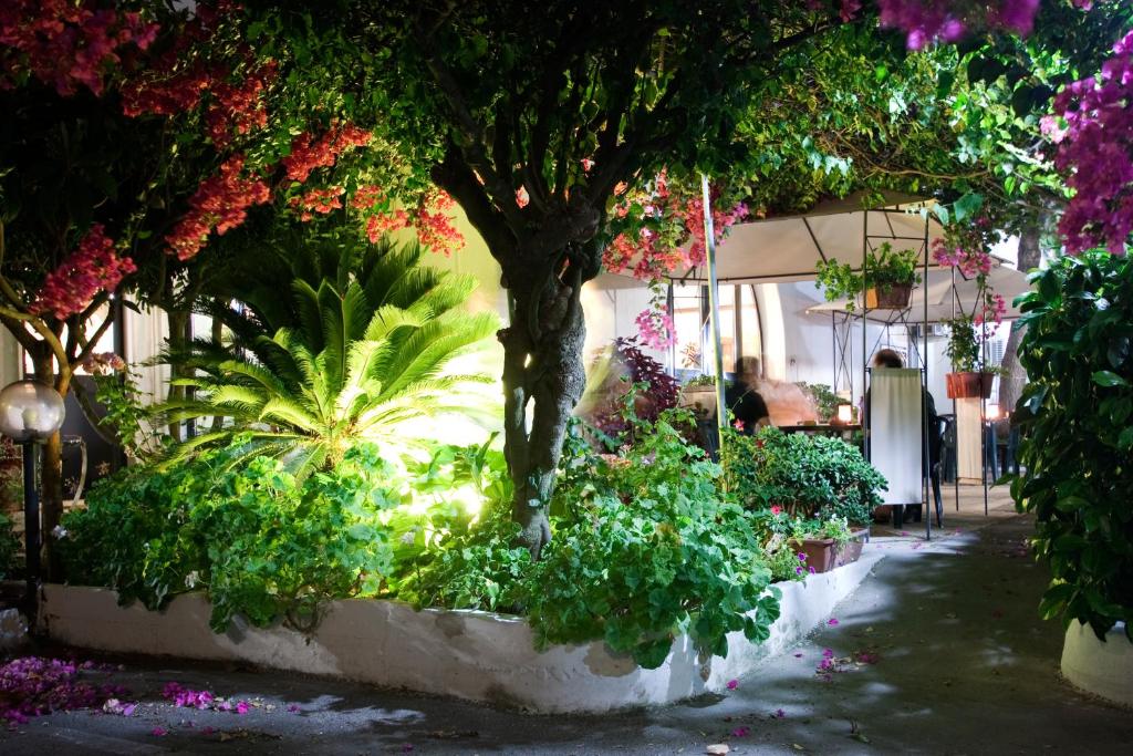a group of plants in a garden with a tree at Hotel Residence Nemo in Brindisi
