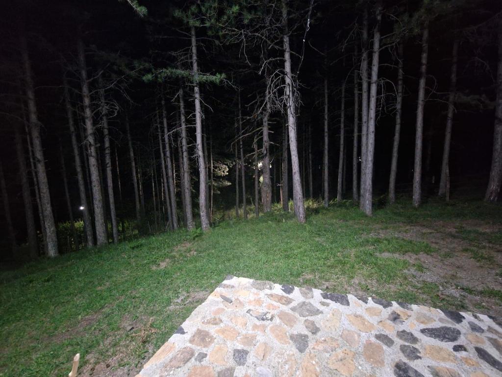 Příroda nedaleko prázdninového domu