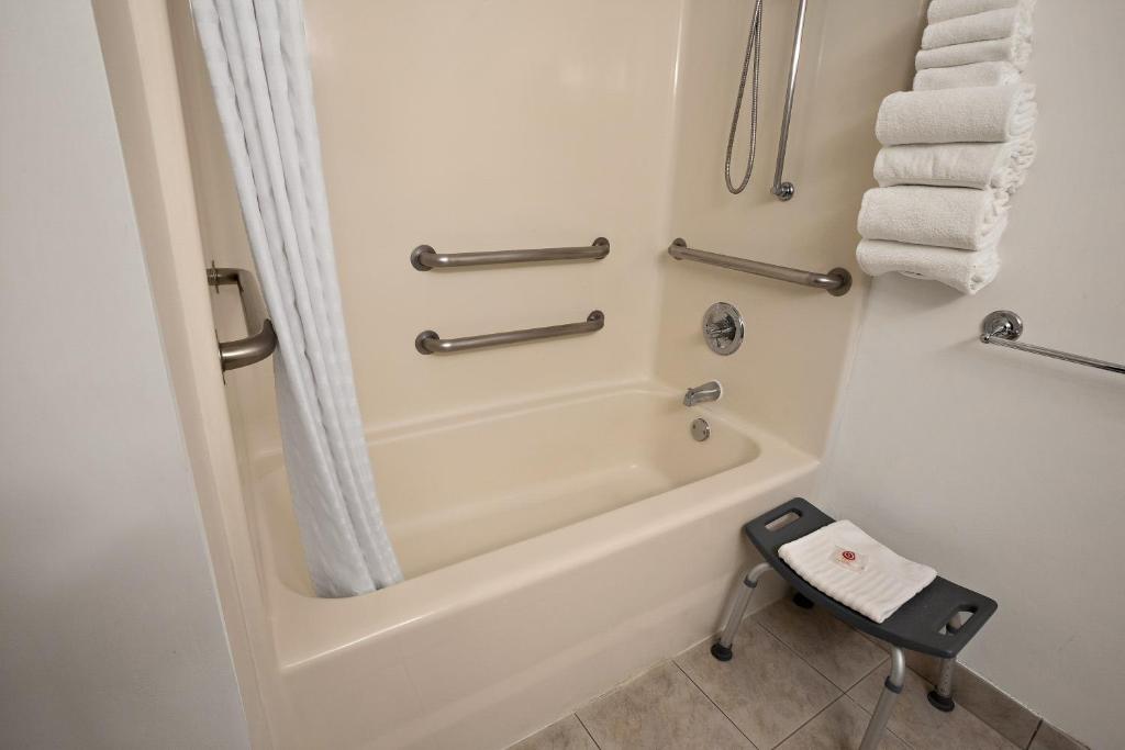 Comfort Inn Lacey - Olympia photo