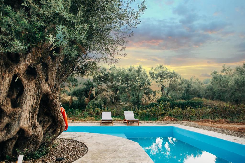 a pool with two chairs next to a tree at Villa di Vino in Lefkada