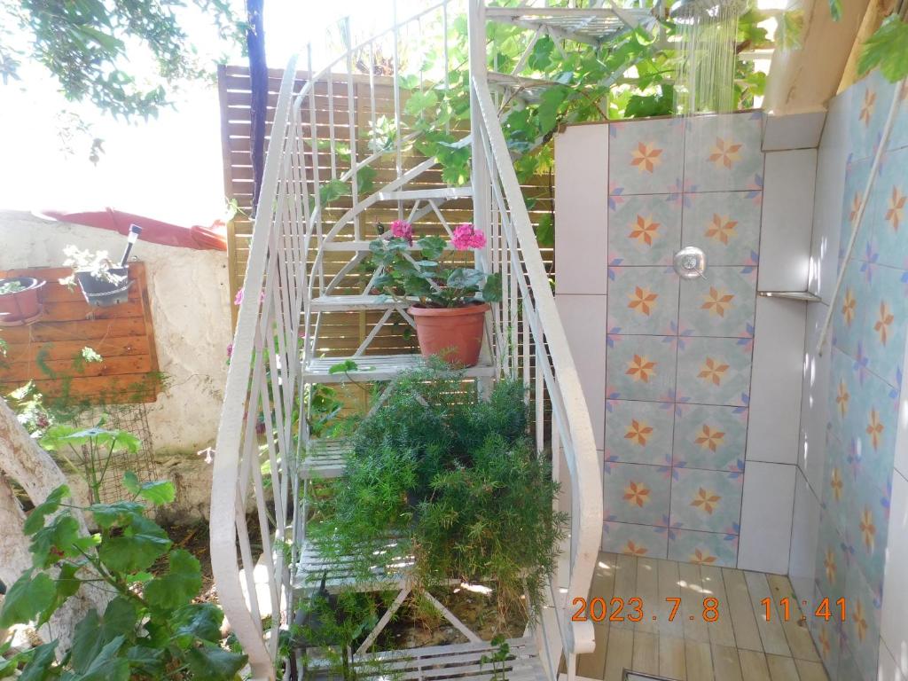 Zahrada ubytování Adonino Apartment