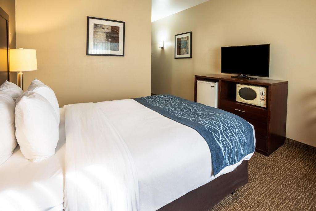 Comfort Inn Lacey - Olympia photo