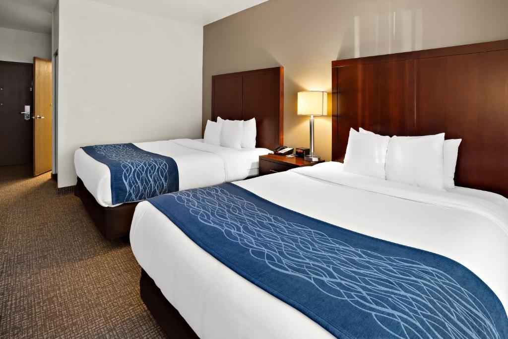 Comfort Inn Lacey - Olympia - Deluxe Queen Studio