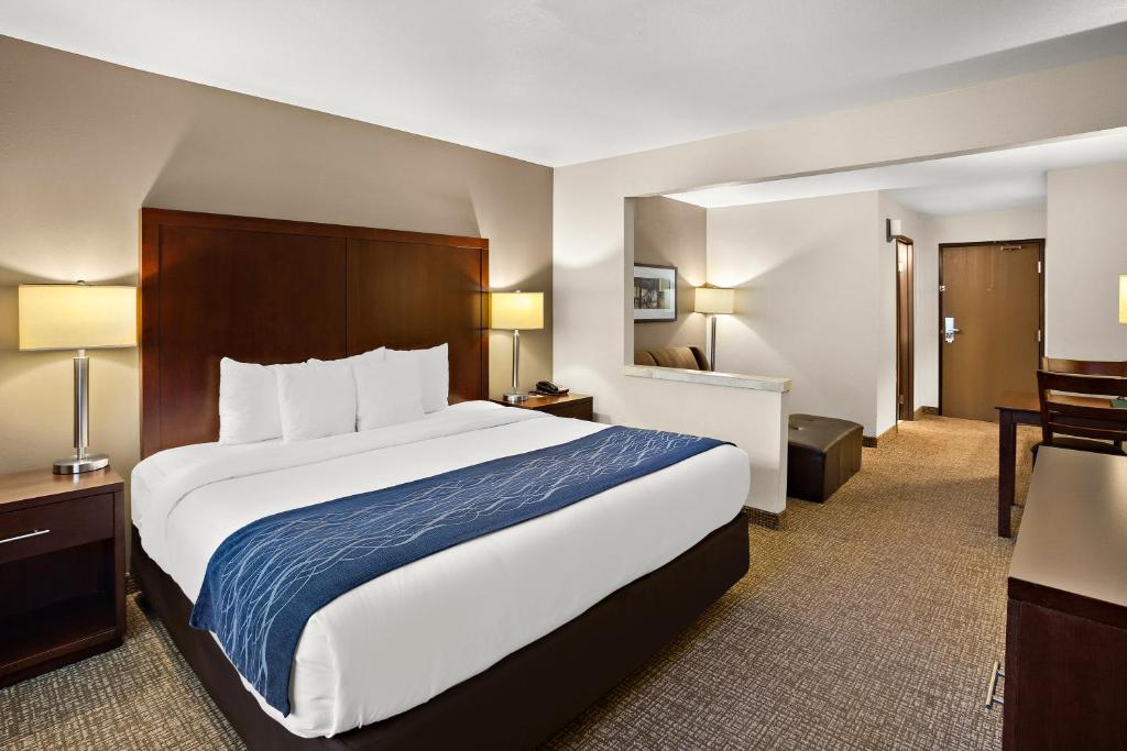 Comfort Inn Lacey - Olympia photo