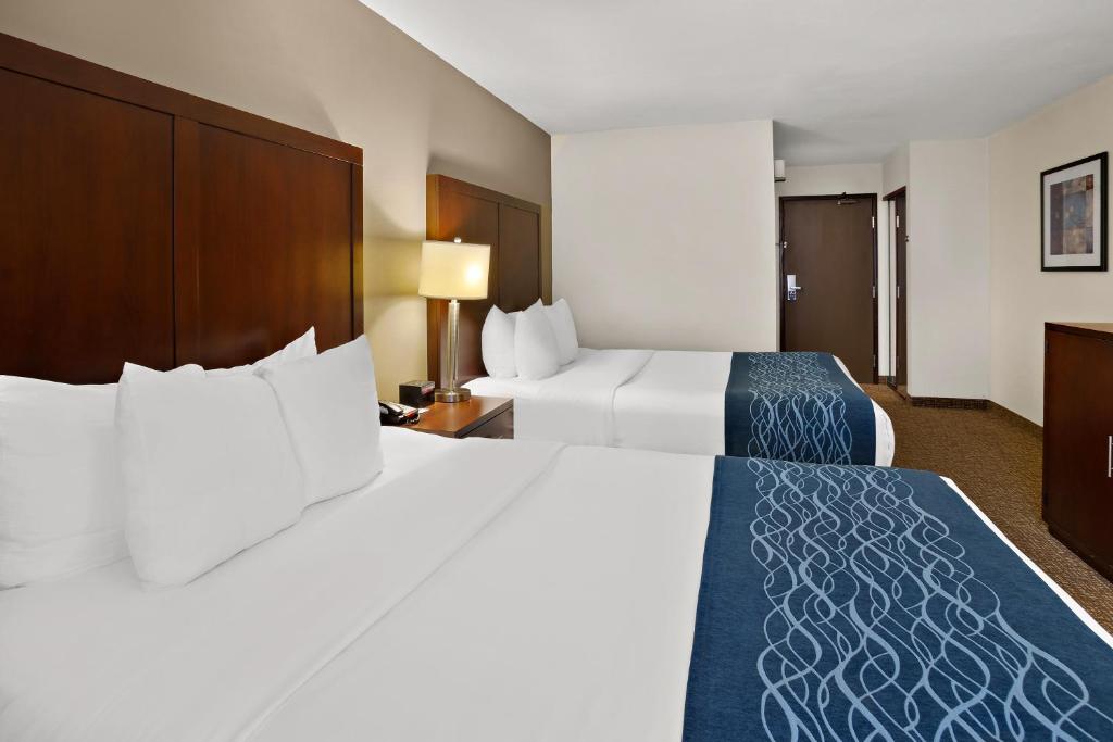 Comfort Inn Lacey - Olympia - Deluxe Queen Studio