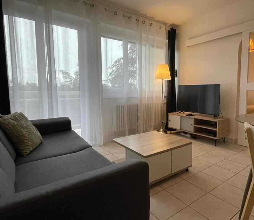 salon z kanapą i telewizorem z płaskim ekranem w obiekcie Le Tranquille - Calme - Parking privé w mieście Ambilly