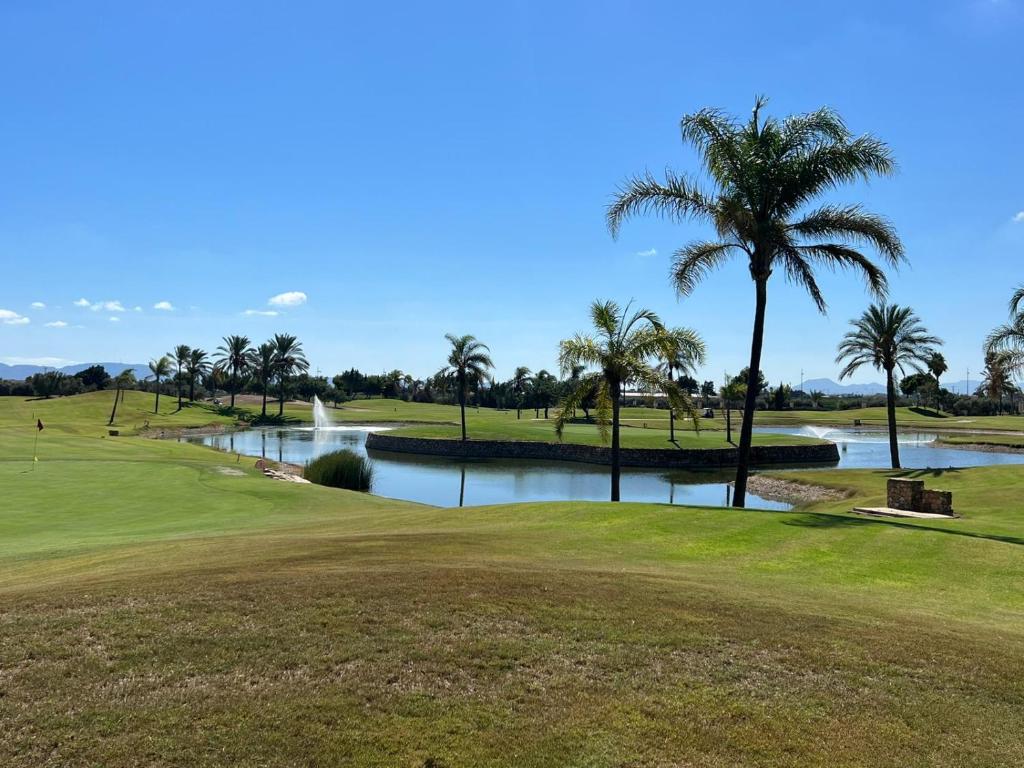 een golfbaan met palmbomen en een vijver bij Moderno y acogedor adosado en Roda Golf Resort in Roda