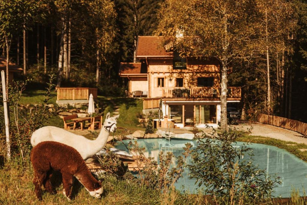 two llamas grazing in the grass next to a house at Landgut Moserhof in Penk