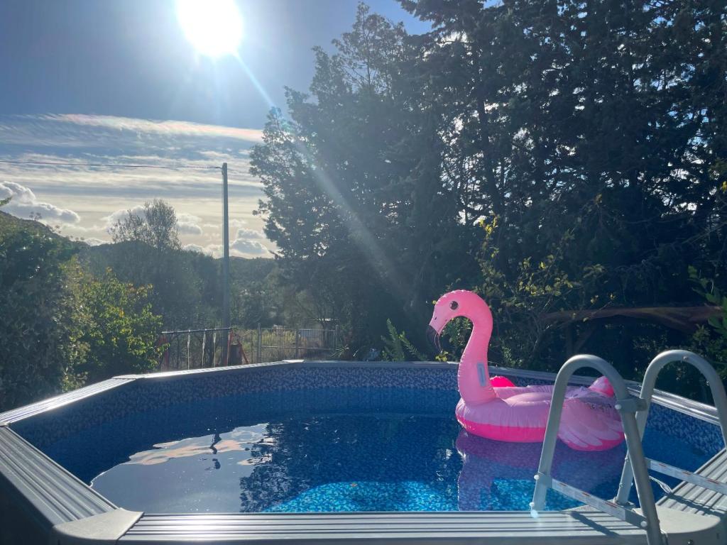 a pink flamingo float in a swimming pool at Villa Mariaurelia in Sanalvò
