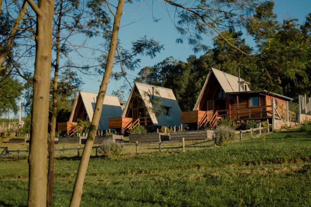 un grupo de cabañas en un campo con árboles en Sítio CRIA - Hospedagem Sustentável & Experiências Rurais, en Três Coroas