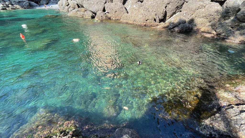 an aerial view of a body of water with rocks at Casa dell'Arco 31 in Camogli