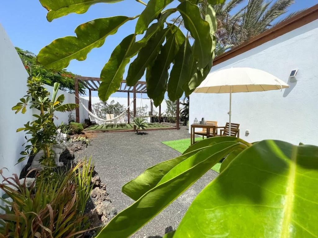 Zahrada ubytování Estudio Lotus by Smartclickvillas