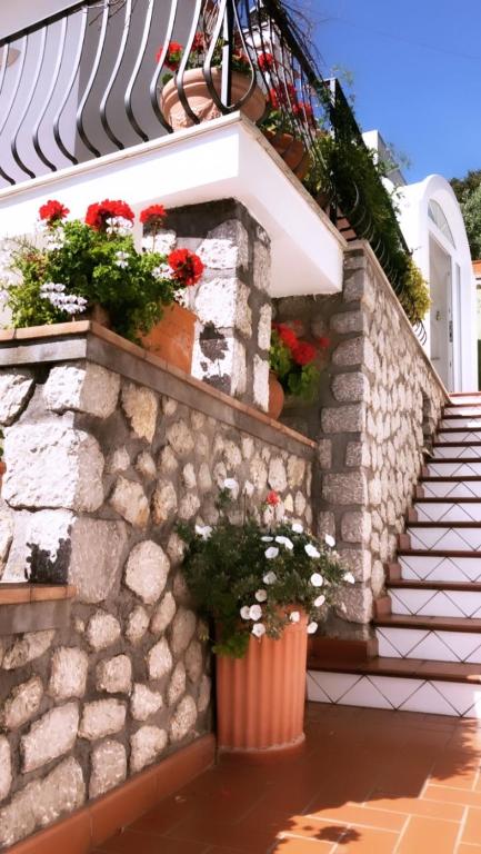 Fotografie z fotogalerie ubytování MARVELOUS SEA VIEW VILLA v Capri