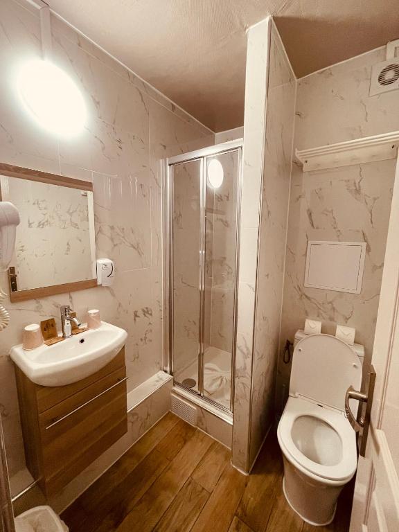 a bathroom with a toilet and a shower and a sink at Pavillon Opéra Lafayette in Paris