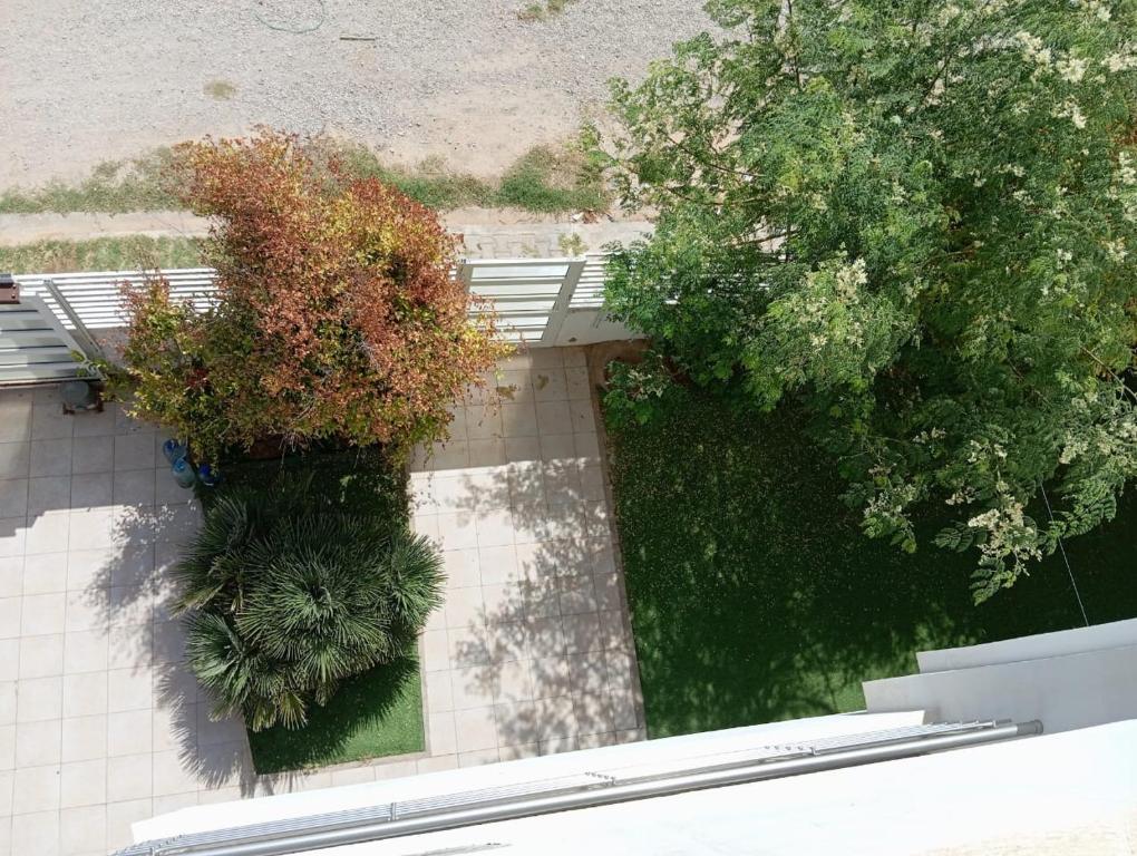an overhead view of a garden with trees and benches at Zone touristique mahdia en face clinique rahma in Mahdia
