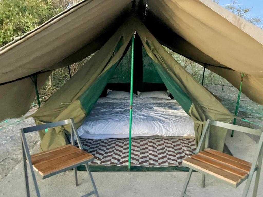 a bed and two chairs in a tent at Kambu Mara Camp in Sekenani