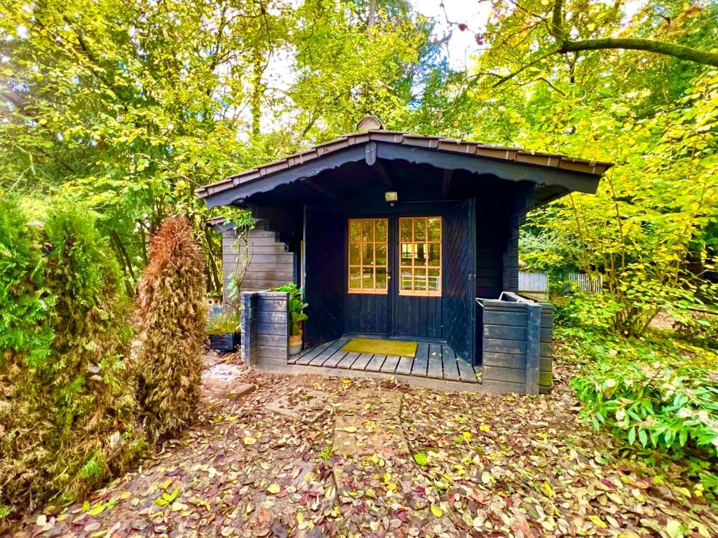 una pequeña casa con un porche en el bosque en Tiny Haus Glamping - Natur Park, en Schlangenbad