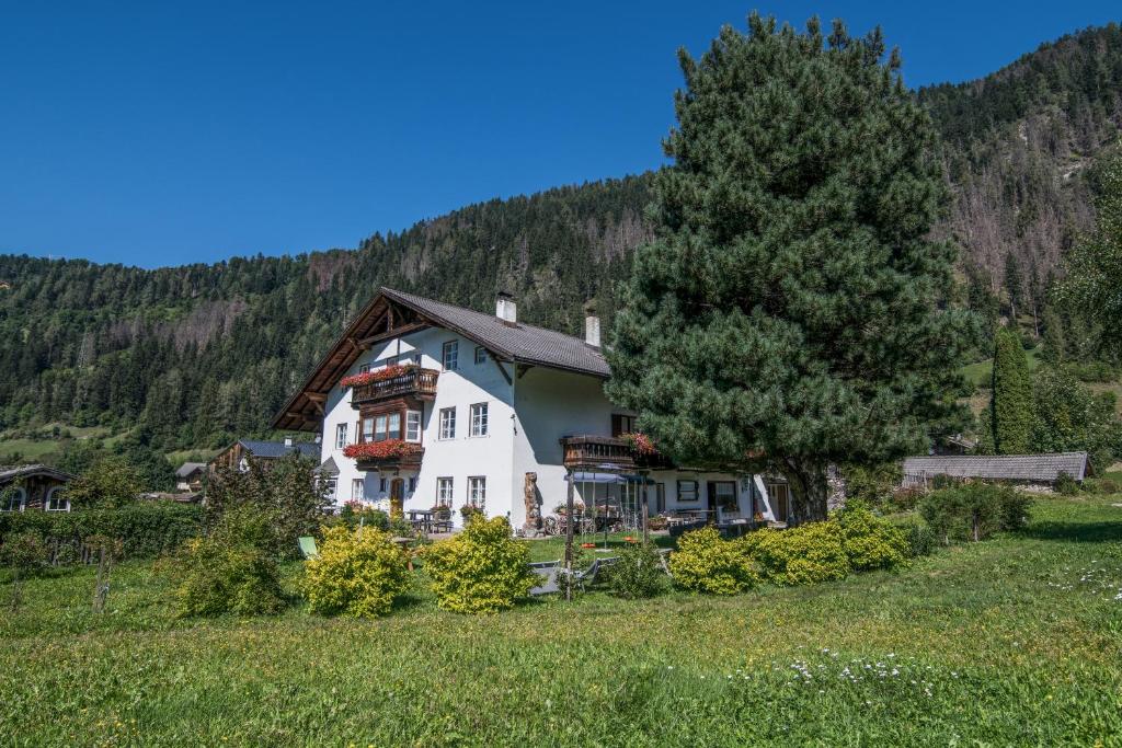 a large white house with a tree in a field at Rieplhof in Vipiteno