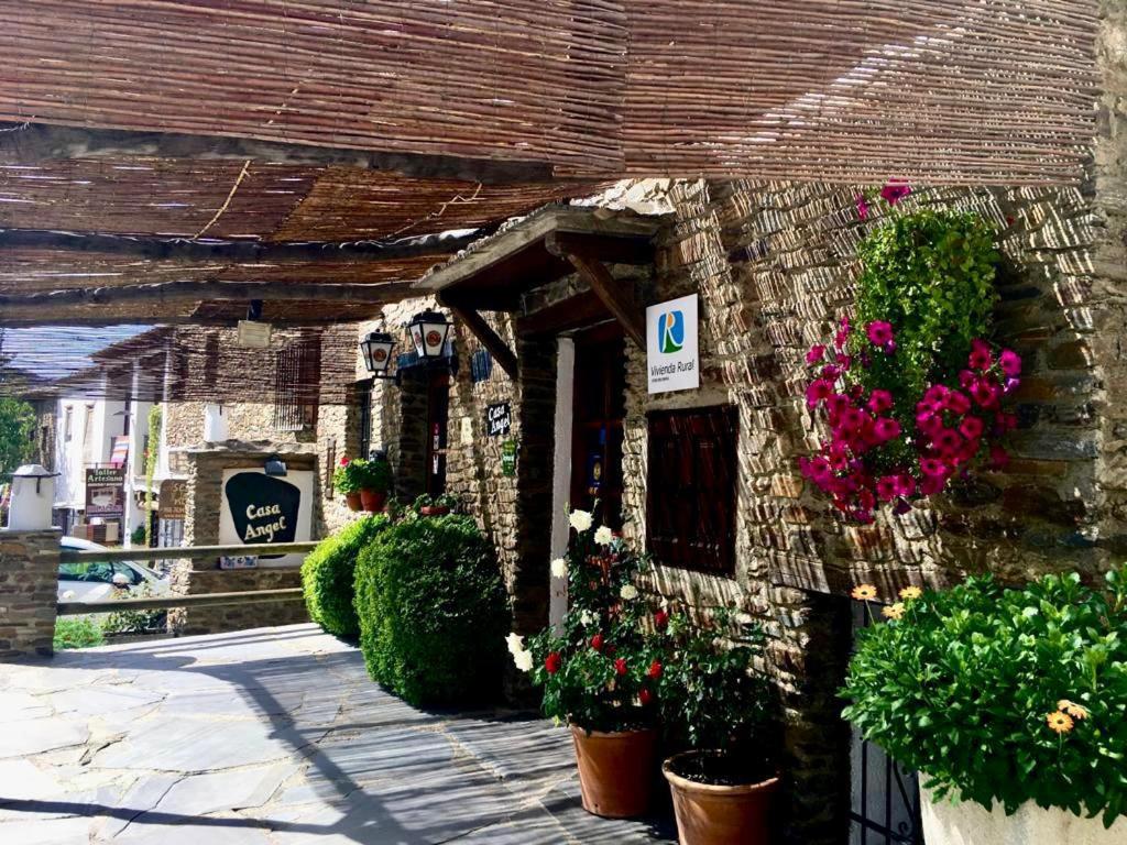 a building with potted plants and flowers on it at Ático CASA CHE in Bubión