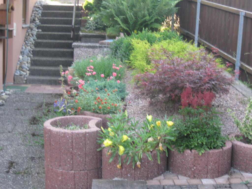 a garden with a bunch of flowers in pots at Ferienwohnung Kulla in Albstadt