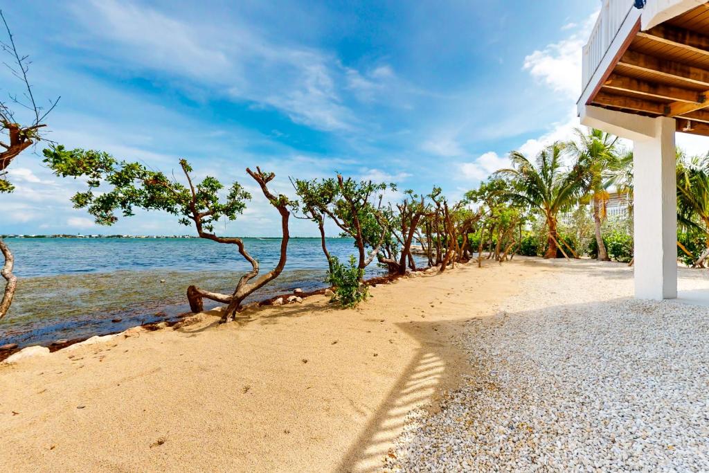 uma praia com um edifício e árvores e a água em Amada Grenada em Summerland Key