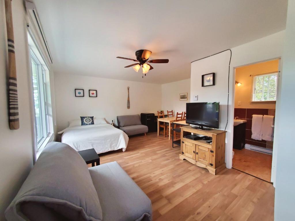 ein Wohnzimmer mit einem Bett und einem TV in der Unterkunft Les Petits Studios du bord de l'eau in Saint-Joseph-de-la-Rive