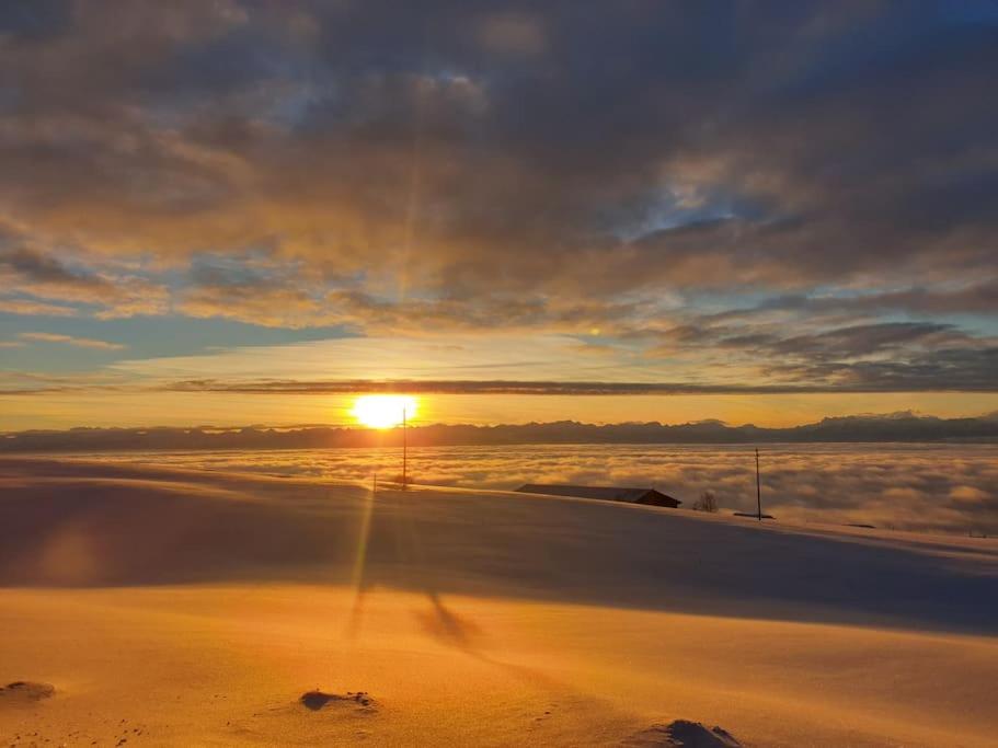 Náttúran í nágrenni íbúðarinnar