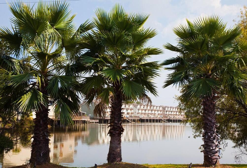 three palm trees in front of a body of water at Scenic Carolina Waterfront Rentals - Arco in Charleston