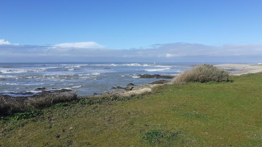 a view of the ocean from a grassy hill at Les Voiles du Clipper T2 in Préfailles