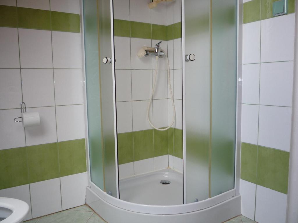 a shower with a glass door in a bathroom at Apartmány U Stoiberů in Přední Výtoň