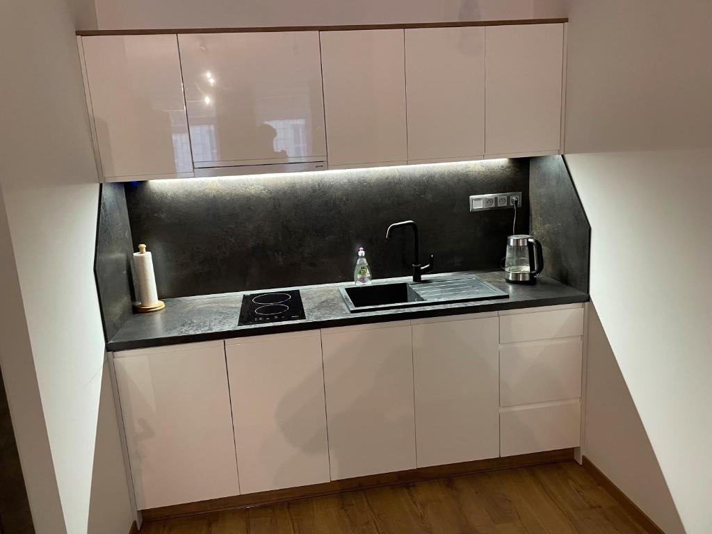 Kuchyň nebo kuchyňský kout v ubytování Apartment Elinel