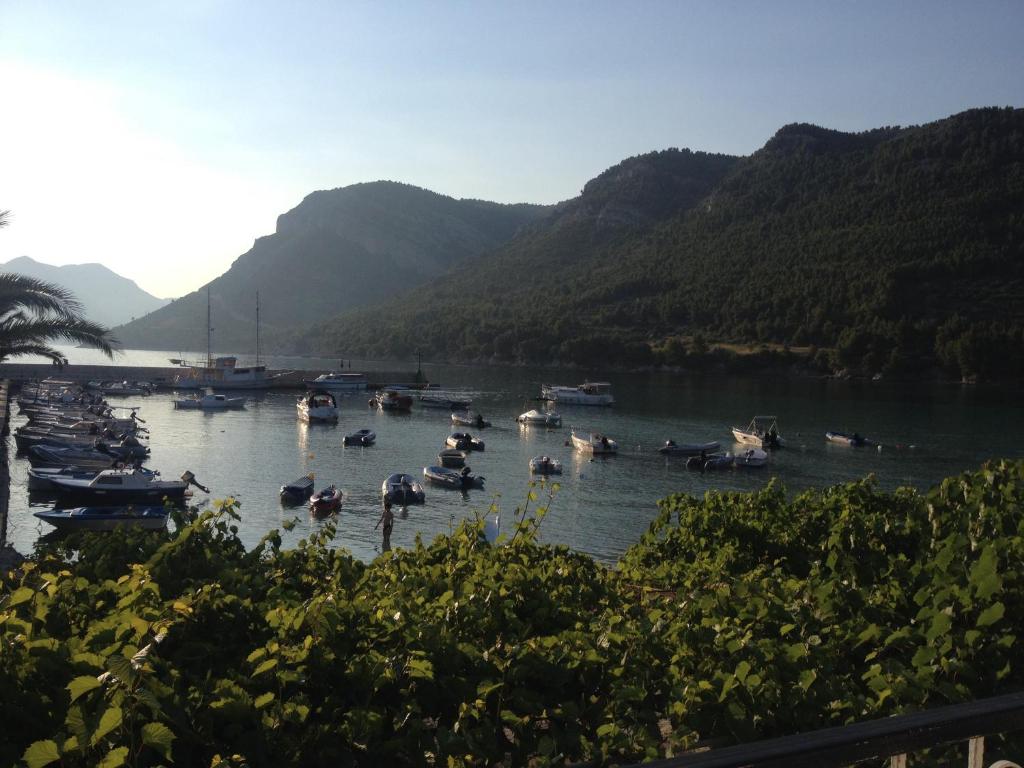 a bunch of boats in a river with mountains at Jerkovic Apartment in Žuljana