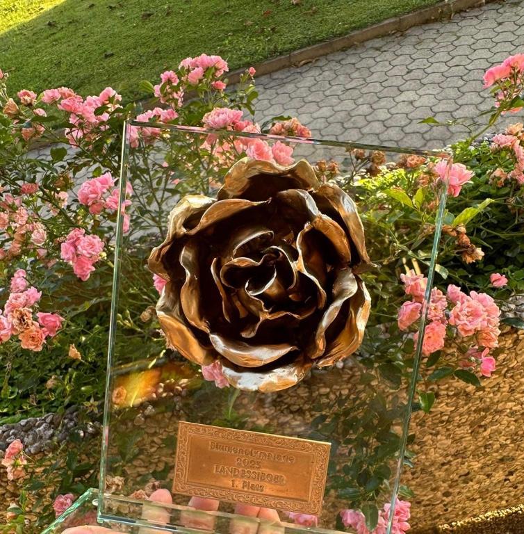 A garden outside Haus Kärnten