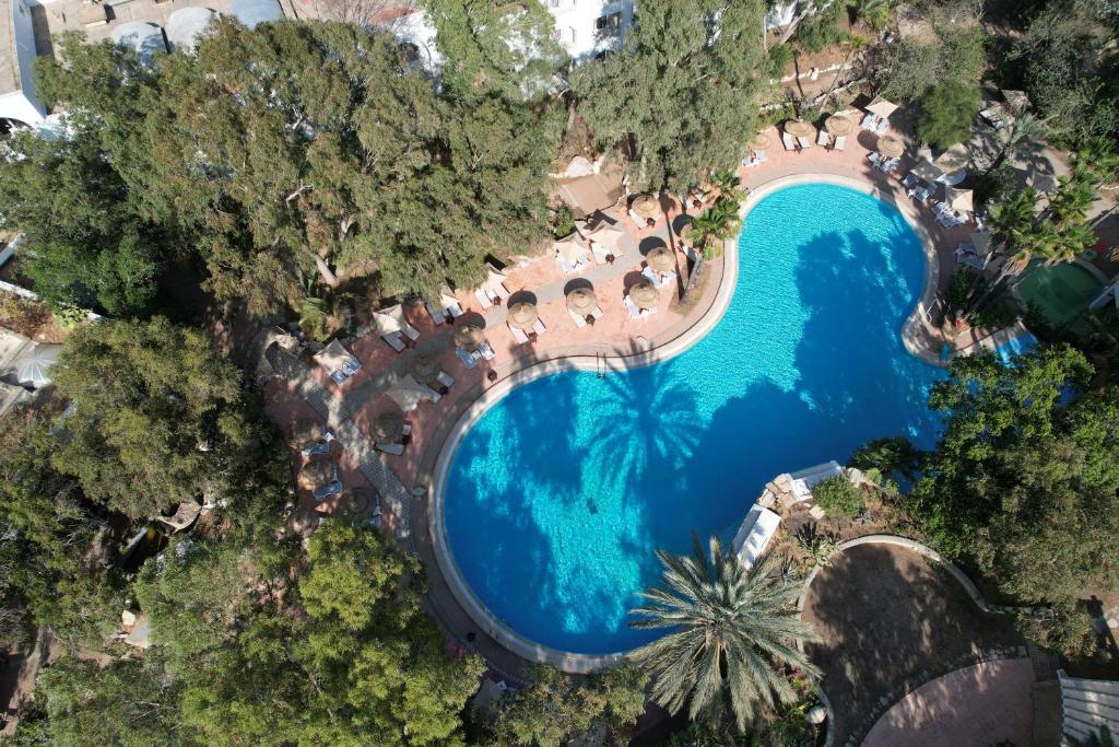 an overhead view of a pool with chairs and trees at Tunisia Lodge in Hammamet