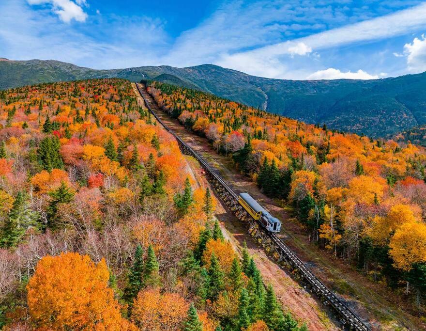 a train traveling through a forest with fall foliage at Bretton Woods Townhome, Views, 1Gig WiFi, Spacious in Bretton Woods