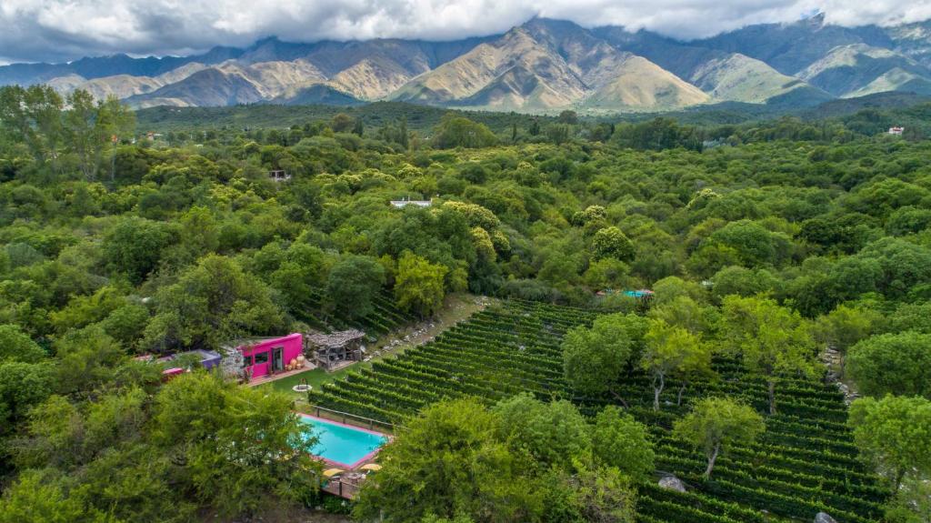 an aerial view of a vineyard with a house and a pool at Araoz de Lamadrid Hotel&Bodega in San Javier