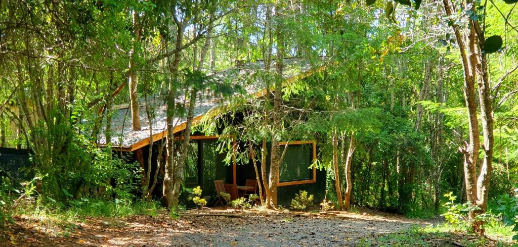 una cabaña en medio de un bosque en Cabañas Vista Bonita en Pucón