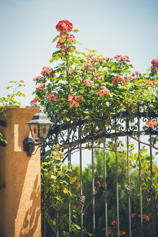 a fence with a bunch of flowers on it at Apart Hotel Apolonia Palace in Sinemorets