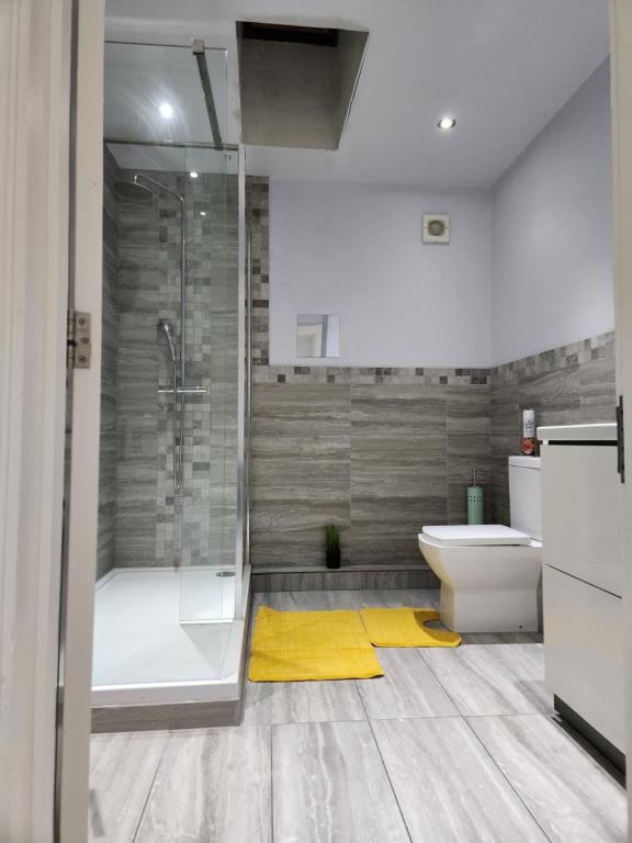 a bathroom with a shower and a toilet and a sink at Chi Lodge & Accommodation in Rainham