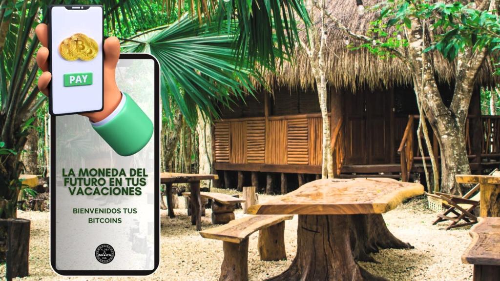 Certifikát, hodnocení, plakát nebo jiný dokument vystavený v ubytování Aldea Maya-Ha Cabañas con cenotes