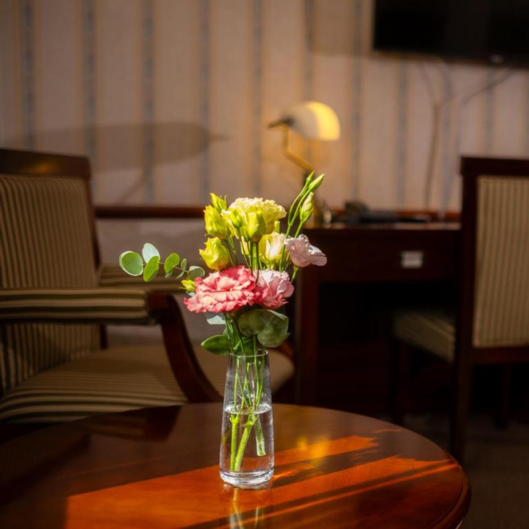 TV a/nebo společenská místnost v ubytování Hotel Golden Eagle