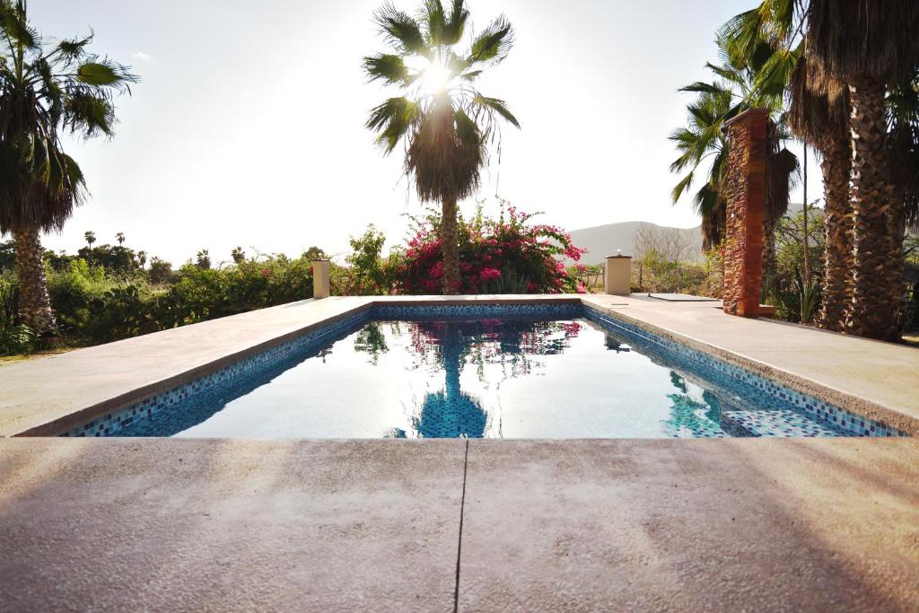 una piscina en un patio con palmeras en Superbe appartement avec chambre, piscine et parking privé, en El Pescadero