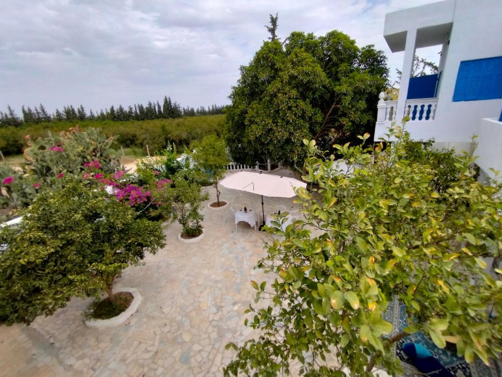 an overhead view of a garden with trees and flowers at Henchir ejdoud in Kairouan