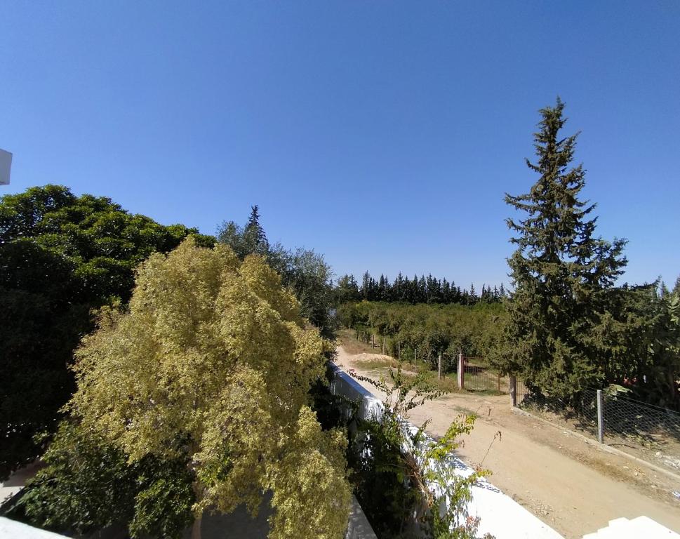 a train traveling down a road next to a tree at Henchir ejdoud in Kairouan