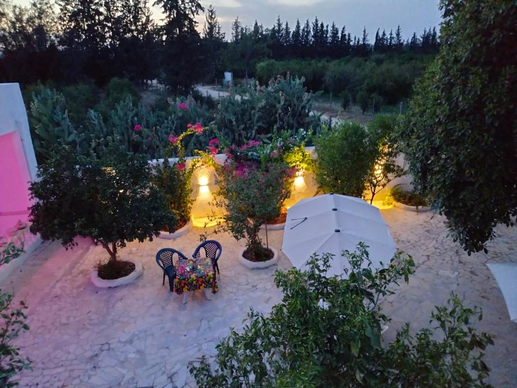 an overhead view of a garden with trees and lights at Henchir ejdoud in Kairouan