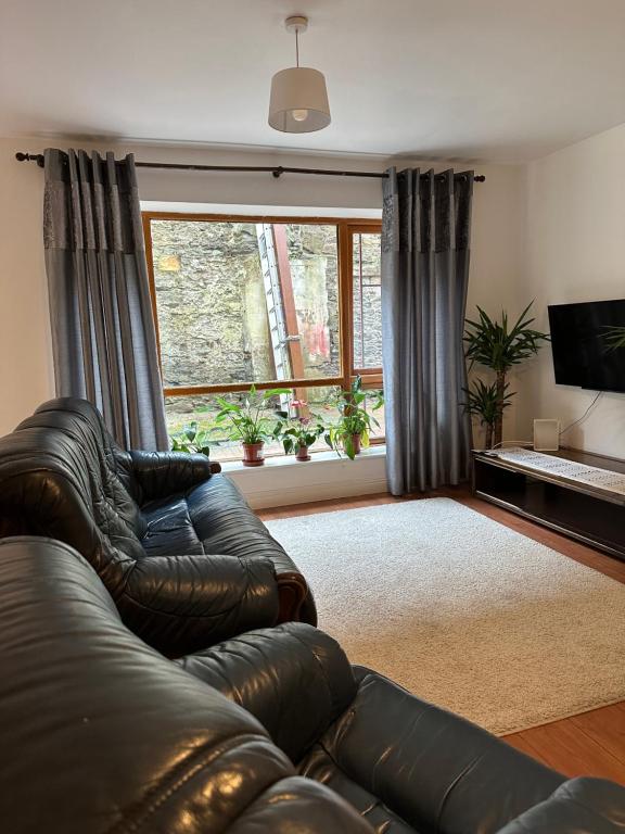 a living room with a leather couch and a television at Modern Apartment X91 R940 in Waterford