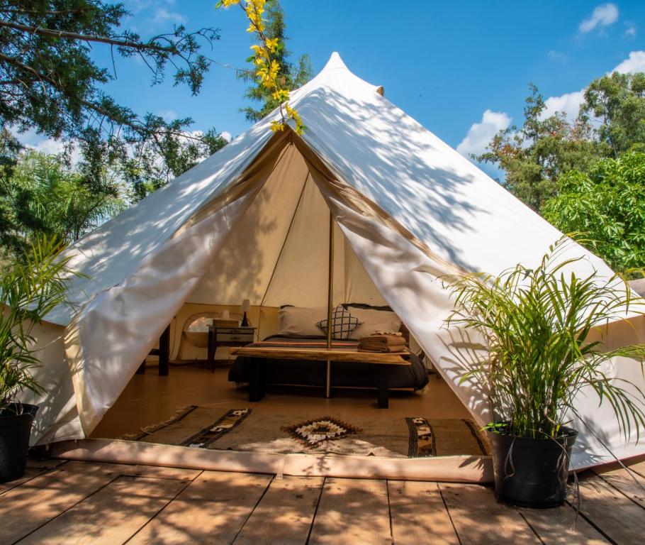 Fotografie z fotogalerie ubytování Taanah Glamping v destinaci Zapotlanejo