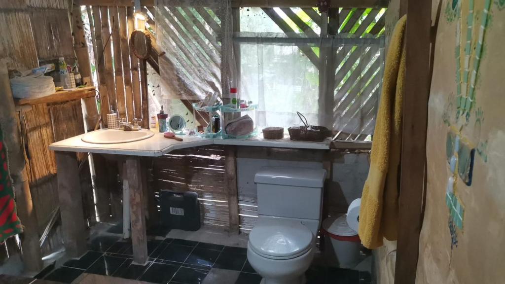 a bathroom with a toilet and a sink and a window at Centro Arte Terapéutico San Isidro Glamping in San Isidro