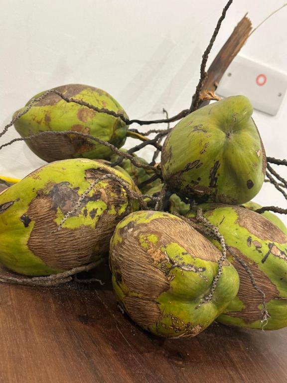 a bunch of rotten coconuts sitting on a table at Paje Home in Paje